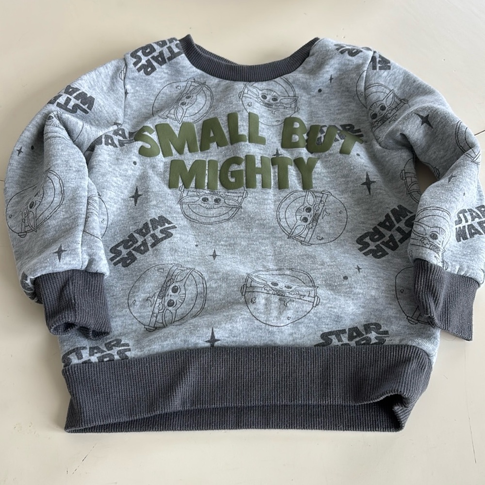 🌸Star Wars Gray and Green Sweatshirt with Dinosaur Print